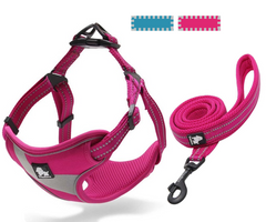 Brite Vibes Set - Reflective Dog Vest Harness and Leash for Larger Breeds
