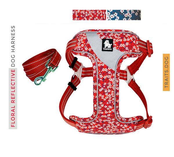 FlowerUp Your Pup - Reflective Dog Cat Vest Harness with Leash