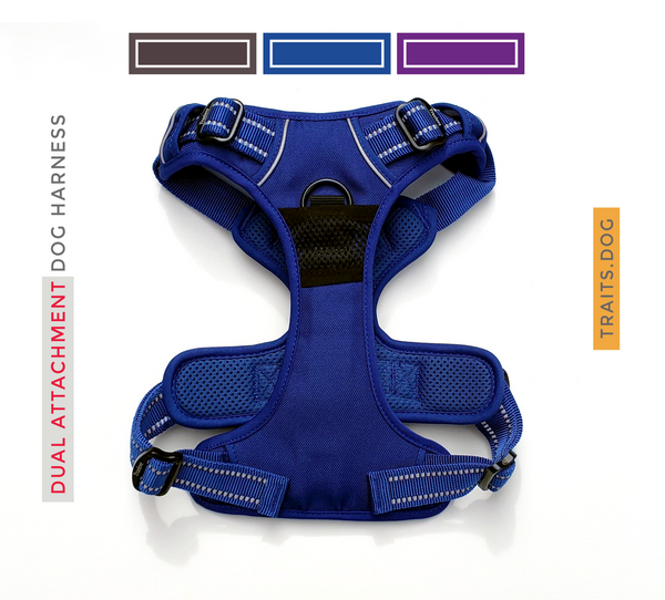 Dual Clip Dog Vest Harness with Handle and Leash - Reflective Weatherproof Harness for Larger Breeds, Dog Sport Harness