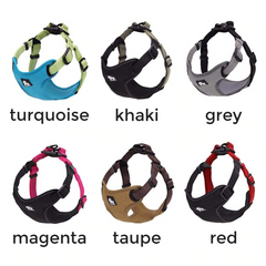 Good Day Every Day - Reflective Dog's Vest Harness for Larger Breeds